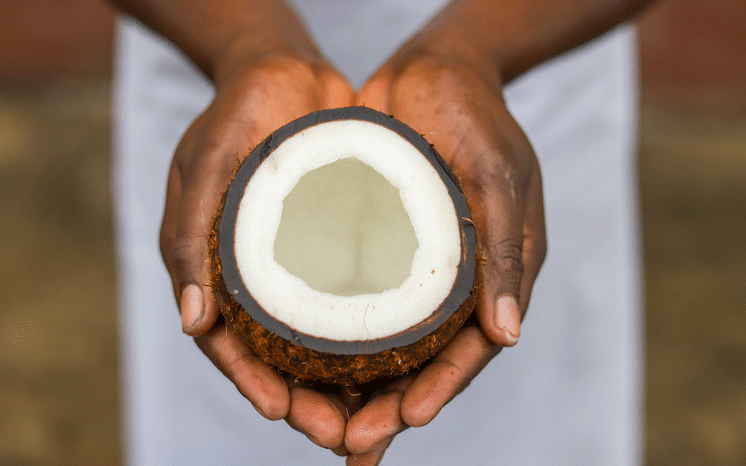 L’huile de coco de Sao Tomé