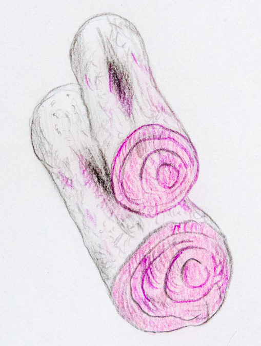 L’huile essentielle de bois de rose
