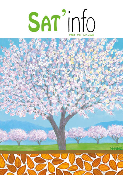 SATINFO-192 couverture combaz satinfo 175