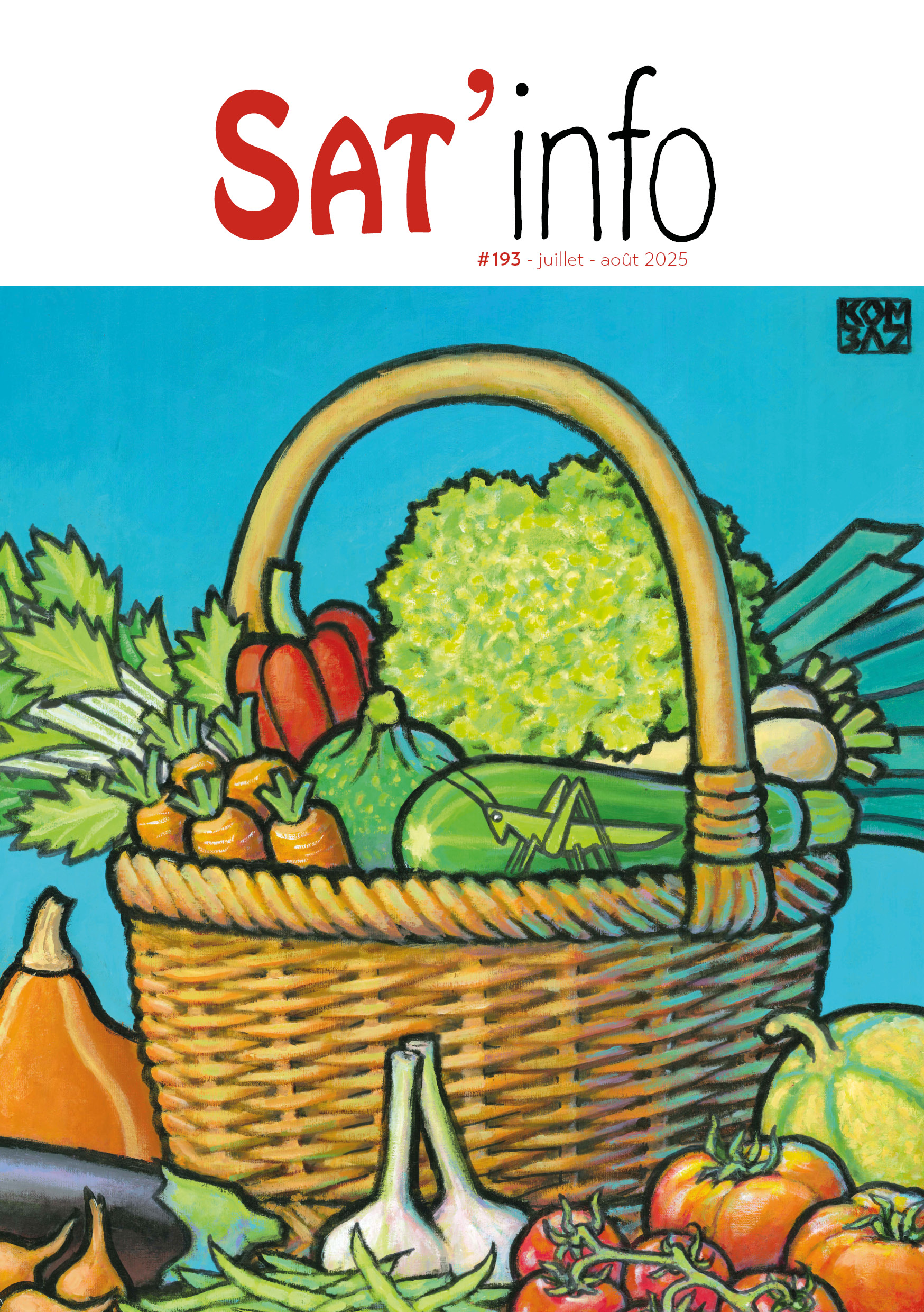 SATINFO-193 couverture combaz satinfo 175