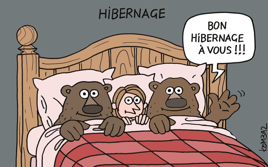 Hiberner pour se régénérer