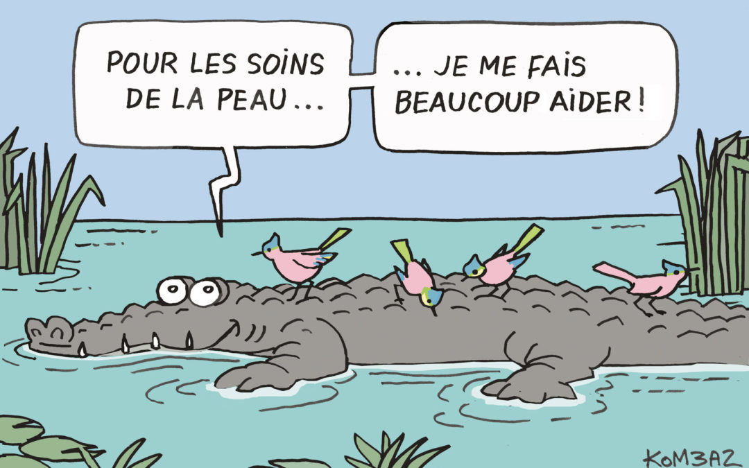 Cosmétiques : du bio pour notre peau !