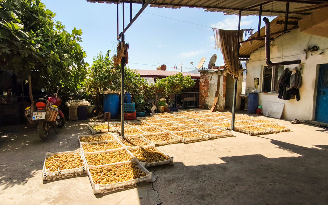 Les fruits secs en Turquie avec Pépite