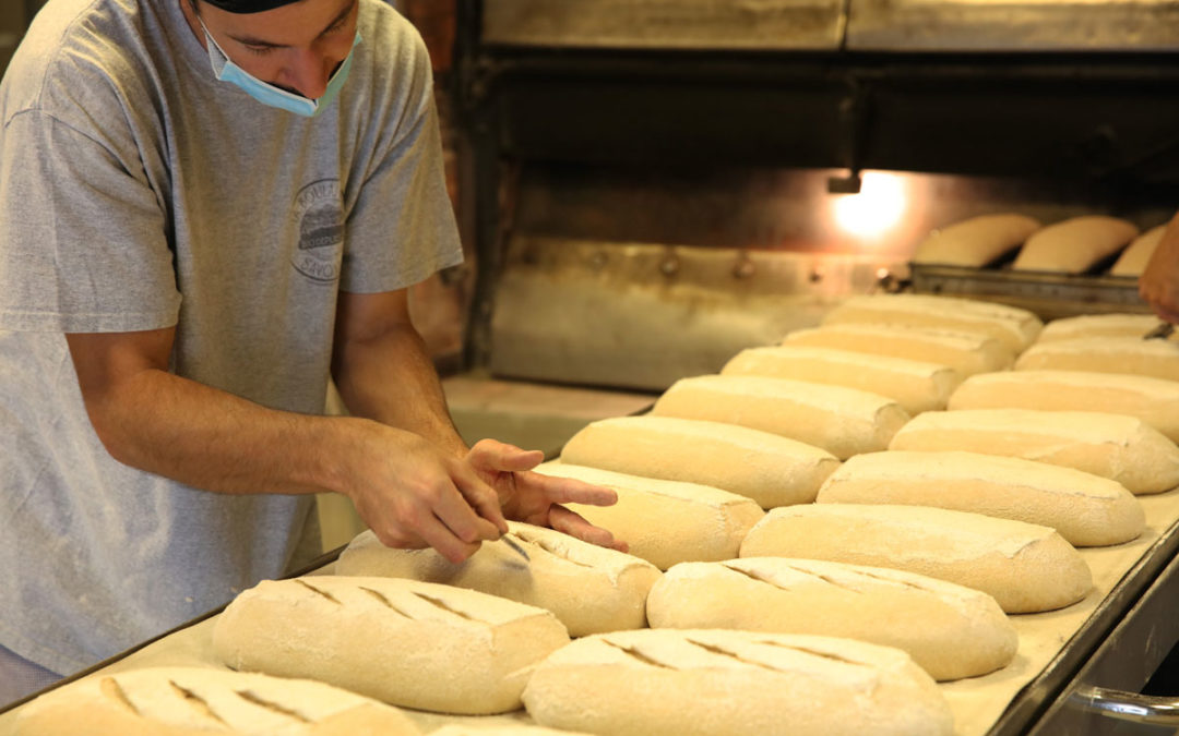 50 ans de pain bio au levain cuit au feu de bois