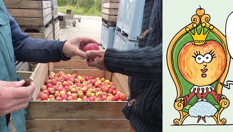 Pommes, jus, purées de fruits, vinaigre, cidre : En visite chez Côteaux Nantais