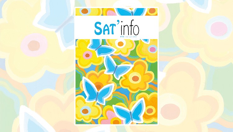 montage-sat-info-174